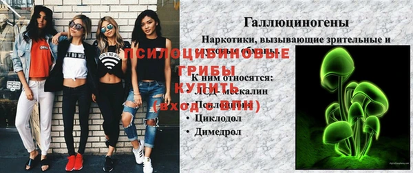 PSILOCYBIN Бугульма